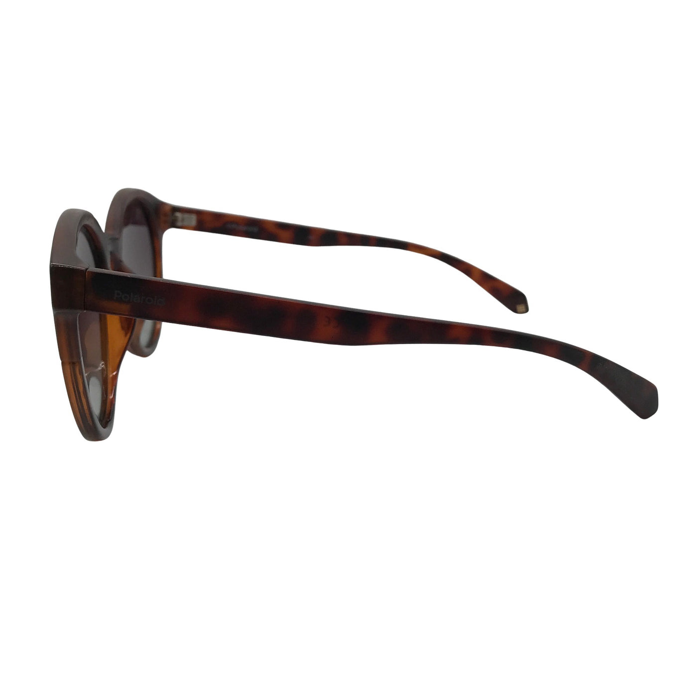 Aurinkolasit, koko Ei kokoa