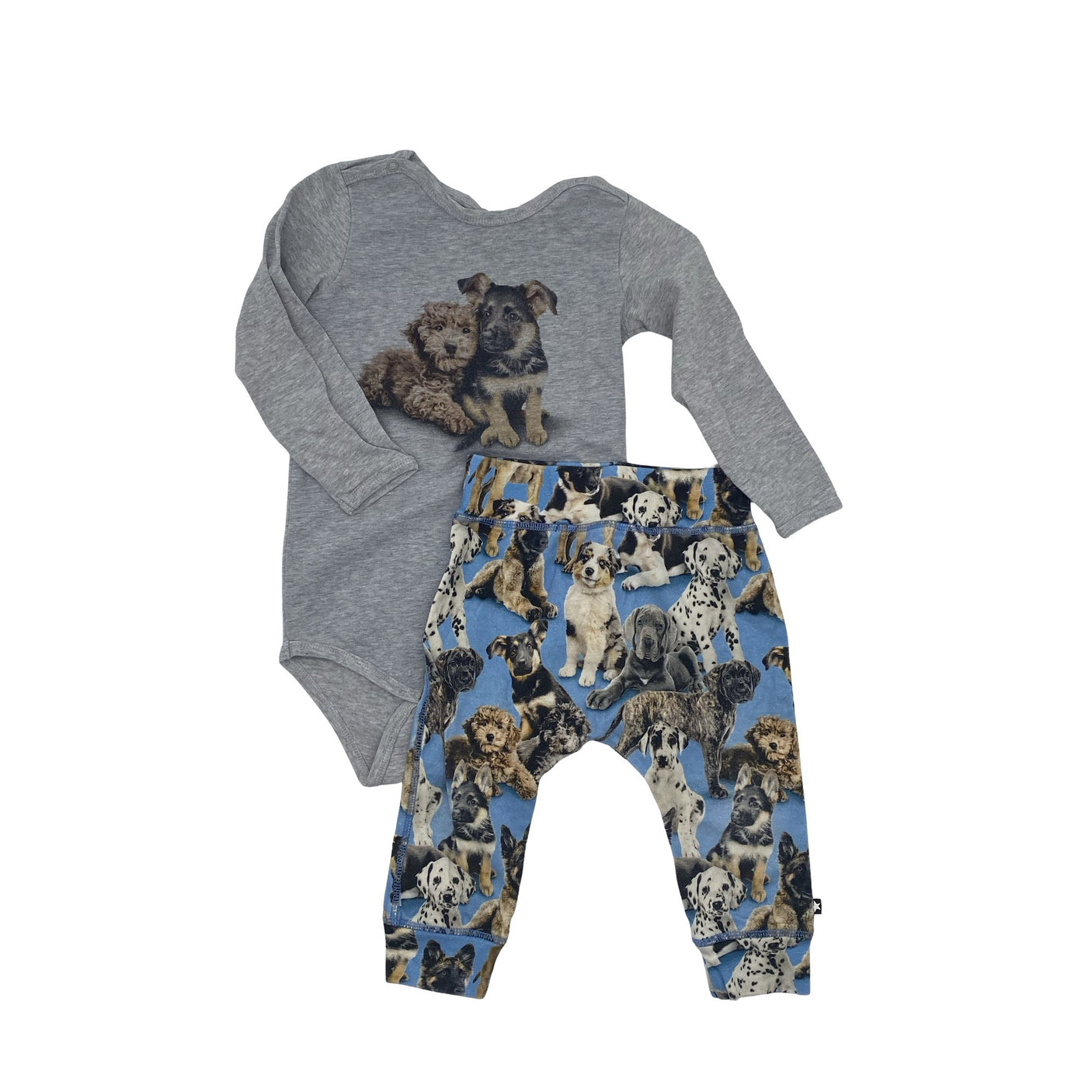 Unisex Molo Kids - Bodi, suurus 74 - 80 - Hall (1)