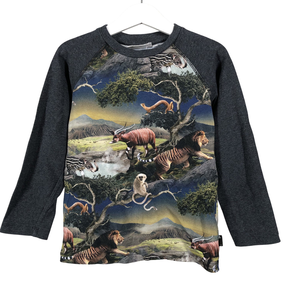 Unisex Molo Kids - Trikotaažist pluus, suurus 104 - 110 - Hall (1)
