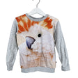 Unisex Molo Kids - Trikotaažist pluus, suurus 104 - 110 - Hall ()
