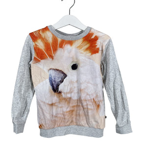 Unisex Molo Kids - Trikotaažist pluus, suurus 104 - 110 - Hall (1)