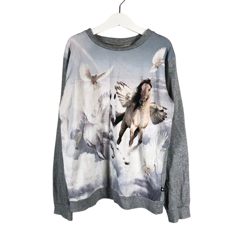Unisex Molo Kids - Trikotaažist pluus, suurus 146 - 152 - Hall ()