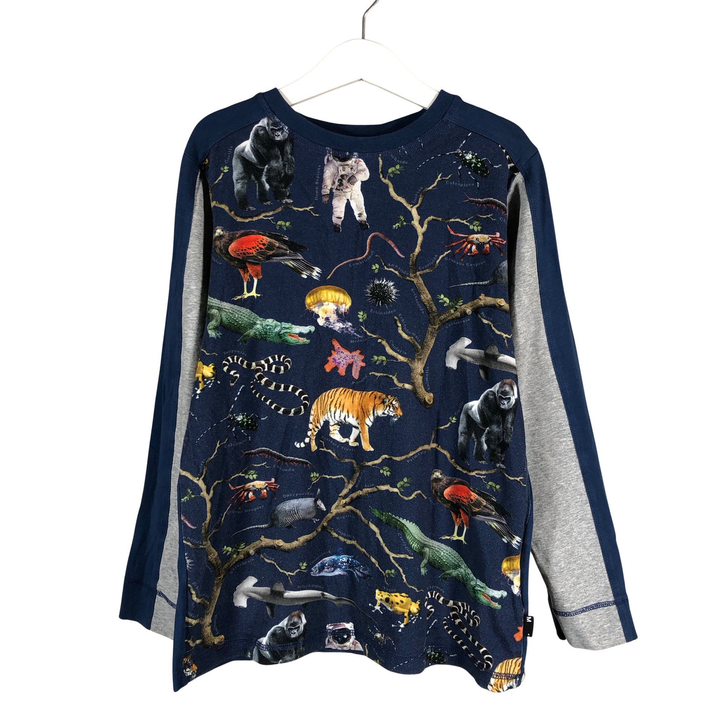 Unisex Molo Kids - Trikotaažist pluus, suurus 134 - 140 - Sinine (1)