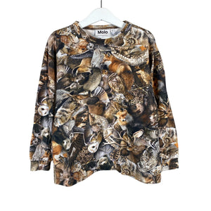 Unisex Molo Kids - Trikotaažist pluus, suurus 116 - 122 - Pruun (1)