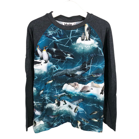 Unisex Molo Kids - Trikotaažist pluus, suurus 122 - 128 - Hall ()