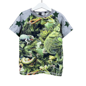 Unisex Molo Kids - T-särk, suurus 122 - 128 - Hall (1)