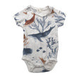 Unisex Newbie - Bodi, suurus 50 - 56 - Valge ()