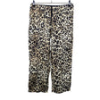 Unisex Bimba Y Lola - Õhukesed püksid, suurus 40 - Pruun ()