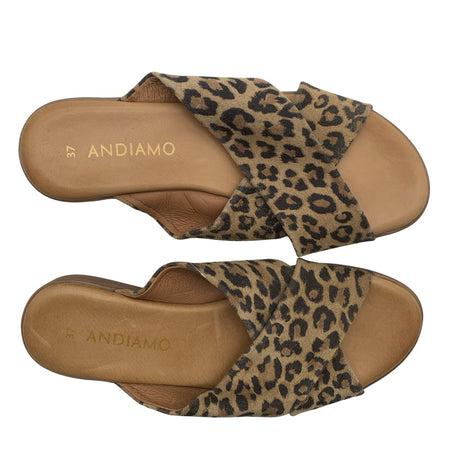 Unisex Andiamo - Rihmikud, suurus 37 - Pruun ()