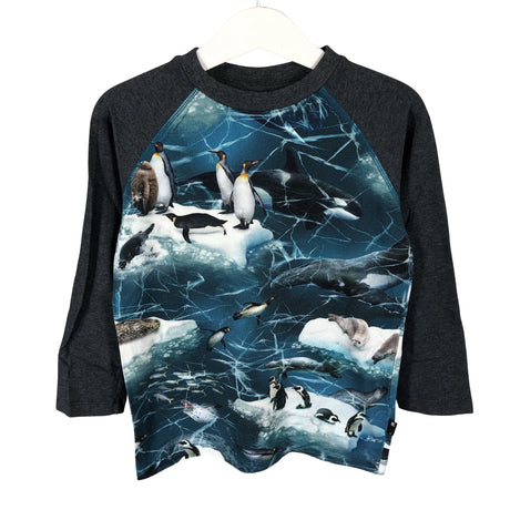 Unisex Molo Kids - Trikotaažist pluus, suurus 98 - 104 - Hall ()